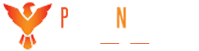 Phoenix Network Phoenix Network